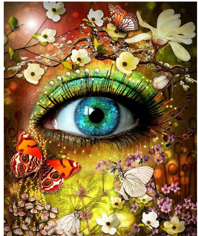 Butterfly Eyeball